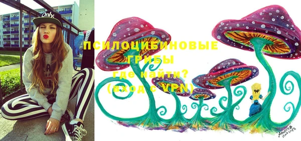 сатива Алексин