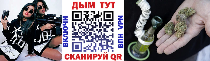 Бошки Шишки семена  закладка  Клин 